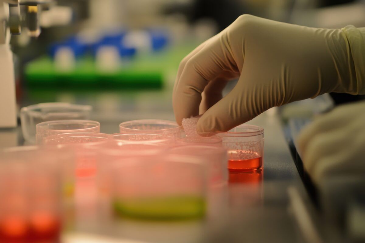 Human tissue: ethical and legal issues – Nuffield Council on Bioethics